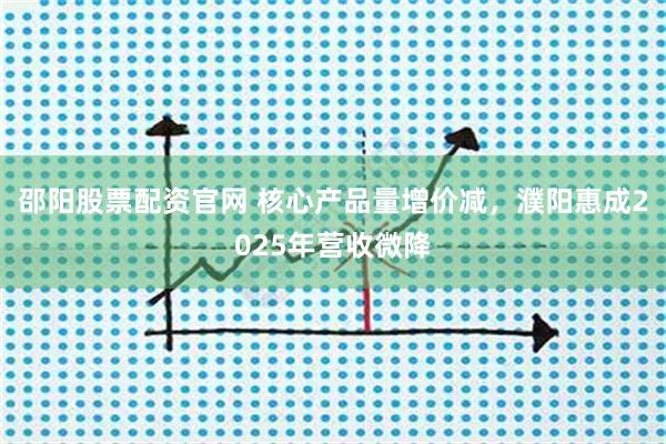 邵阳股票配资官网 核心产品量增价减,濮阳惠成2025年营收微降