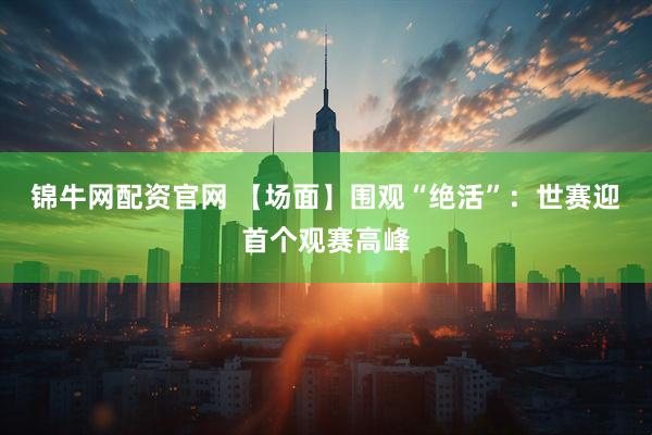 锦牛网配资官网 【场面】围观“绝活”:世赛迎首个观赛高峰